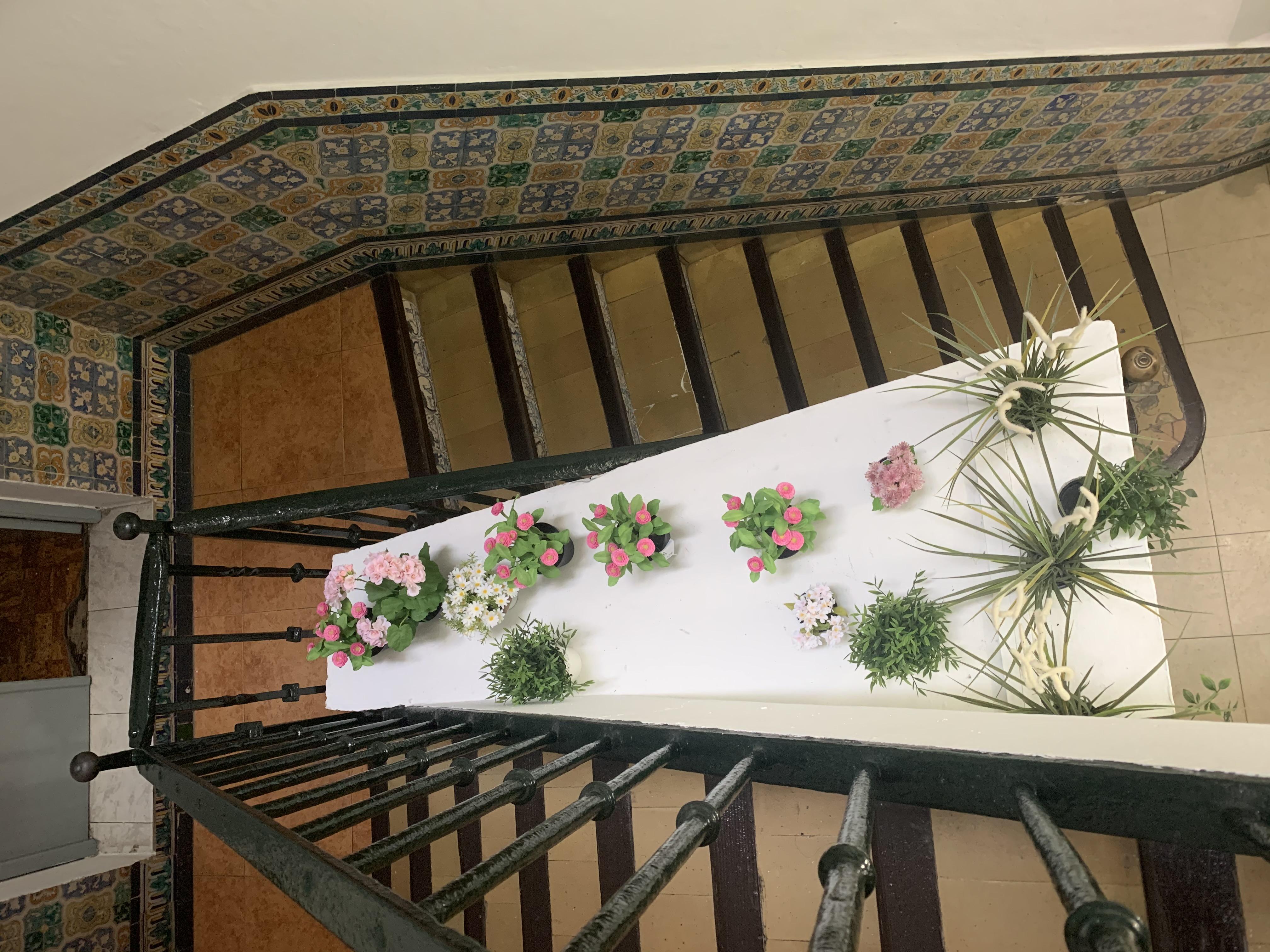 Hostal Alcobia Sevilla Dış mekan fotoğraf