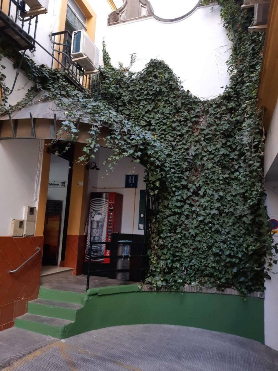 Hostal Alcobia Sevilla Dış mekan fotoğraf